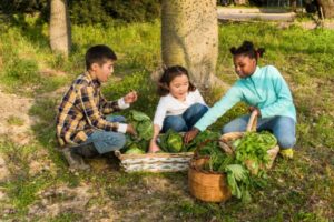 Sustainability Practices in Food Businesses